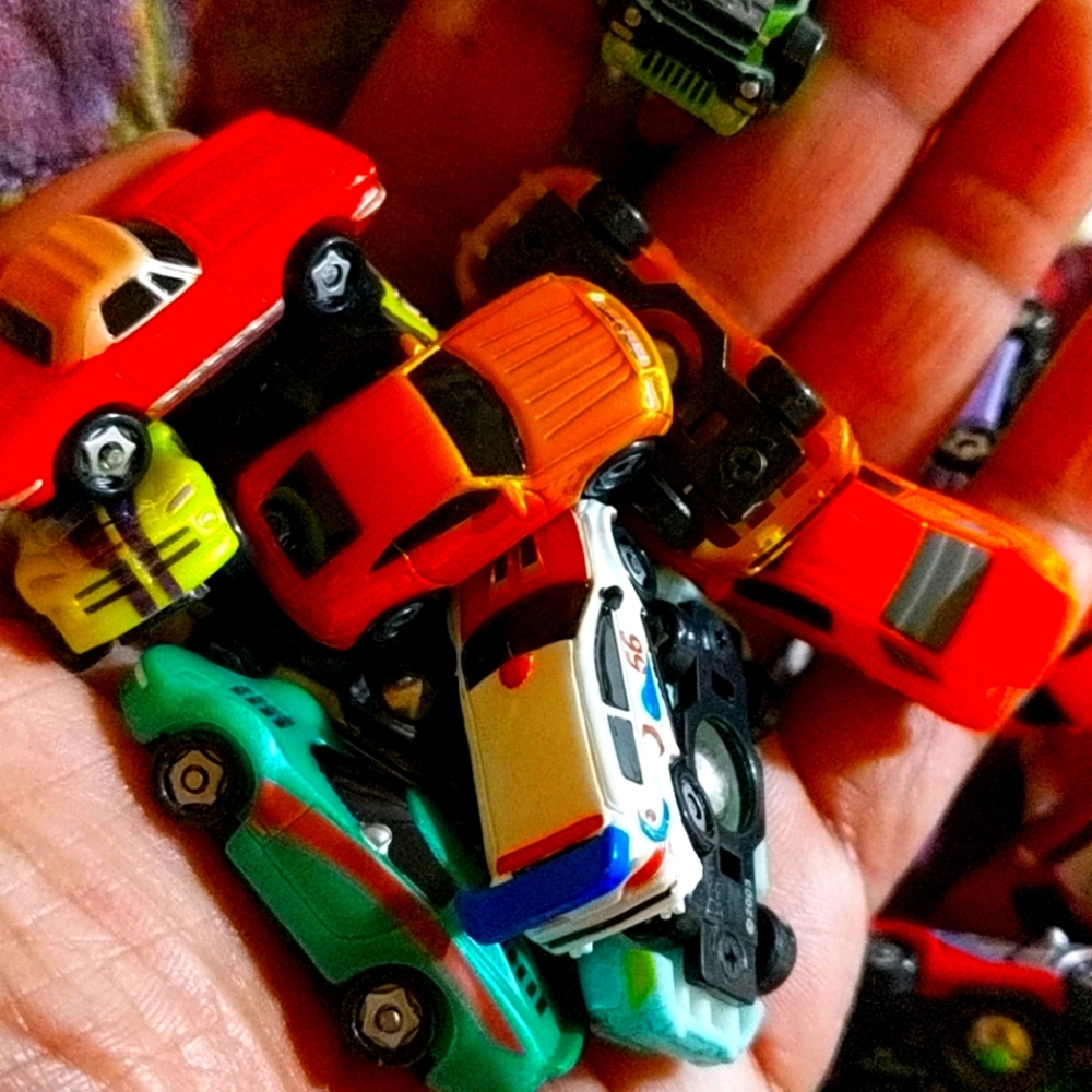 Playmates speedees